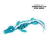 Scheletro di dinosauro Drago azzurro