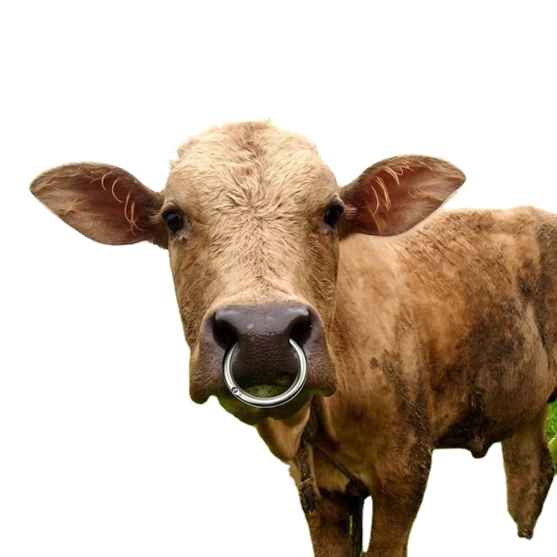 Stainless Steel Bull Rings Cow Nose Ring Pig Nose Brass Ring Custom Made