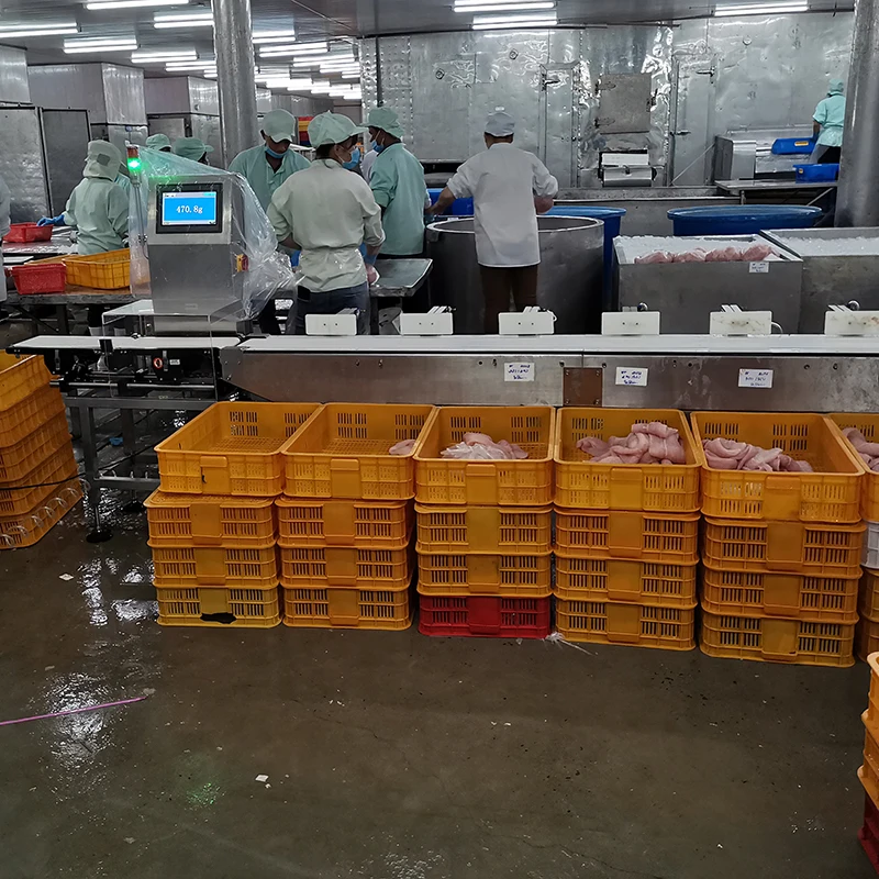 Multi Grade Weighing Sorter Weight Sorting Machine for Seafood Fish Meat Poultry