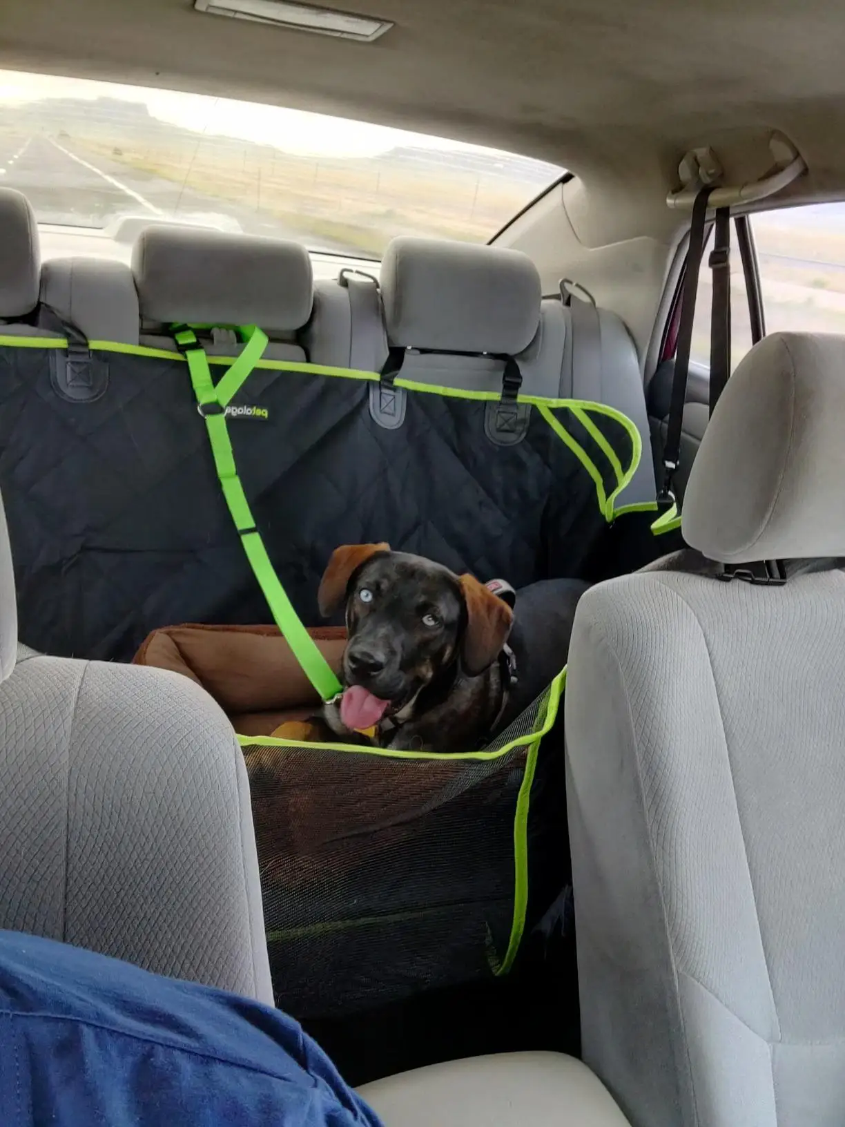 Customized Adjustable Pet Dog Seat Belt Reflective Dog Car Retractable