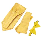 Tie Set Wholesale High Quality Polyester Yellow Velvet Bow Tie Woven Jacquard Paisley Handkerchief Ascot Set