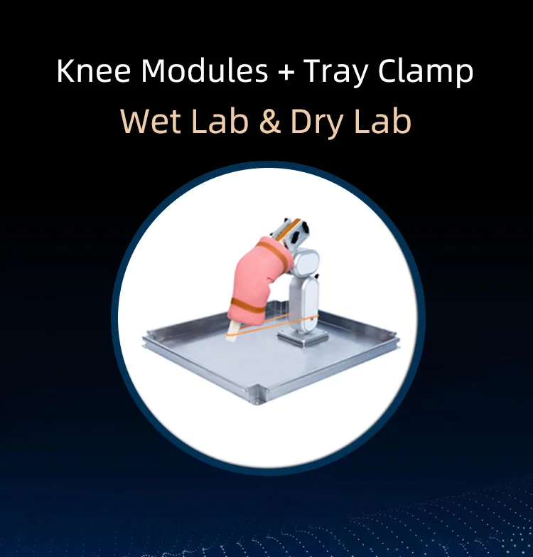 Arthroscopy Knee Joint Module Shoulder Module Arthroscopic Surgery Simulation Training Equipment Training Simulator