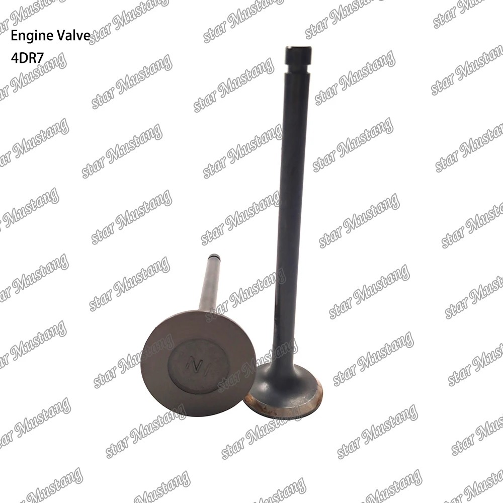 4DR7 Engine Valve Suitable for Mitsubishi Engine Parts
