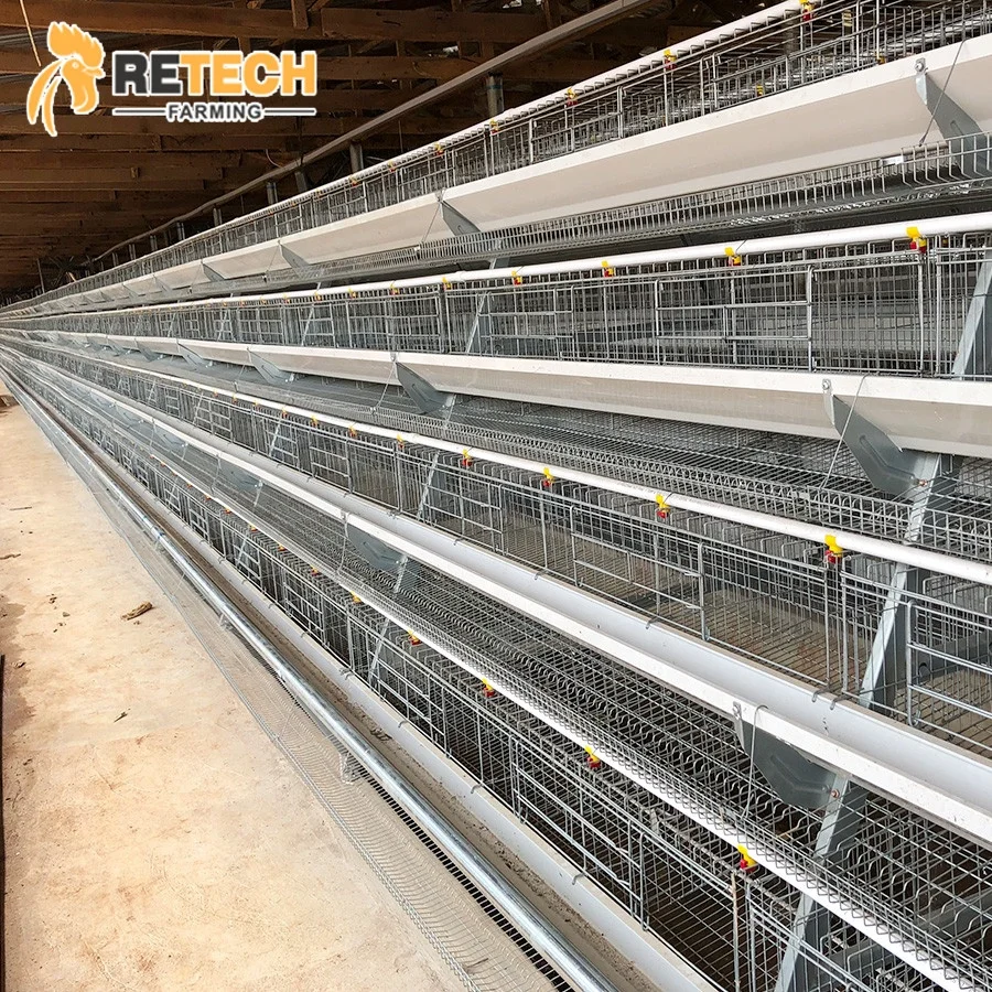Poultry Farm Simple Design Manual Layer Cage for 10000 Chickens House