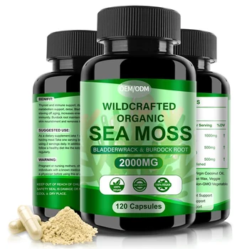 Factory Price Metabolism Support Organic Sea Moss Burdock Root Supplements for Immunity Boosting Sea Moss Hard Capsules