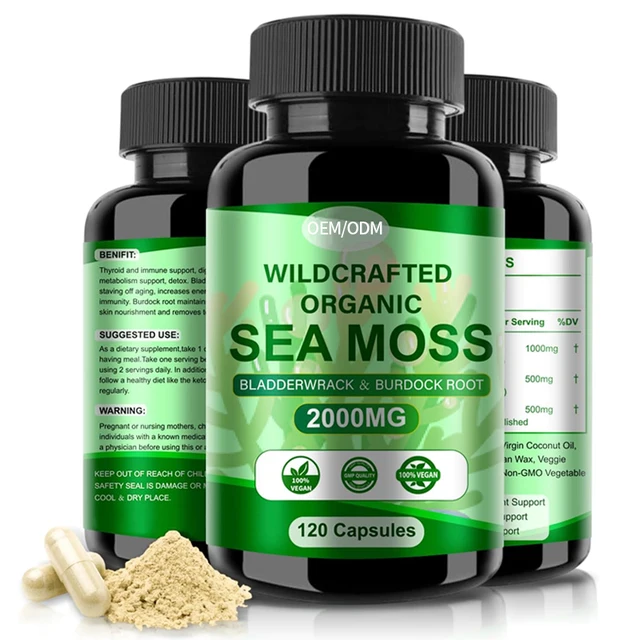 Factory Price Metabolism Support Organic Sea Moss Burdock Root Supplements for Immunity Boosting Sea Moss Hard Capsules