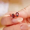 Garnet