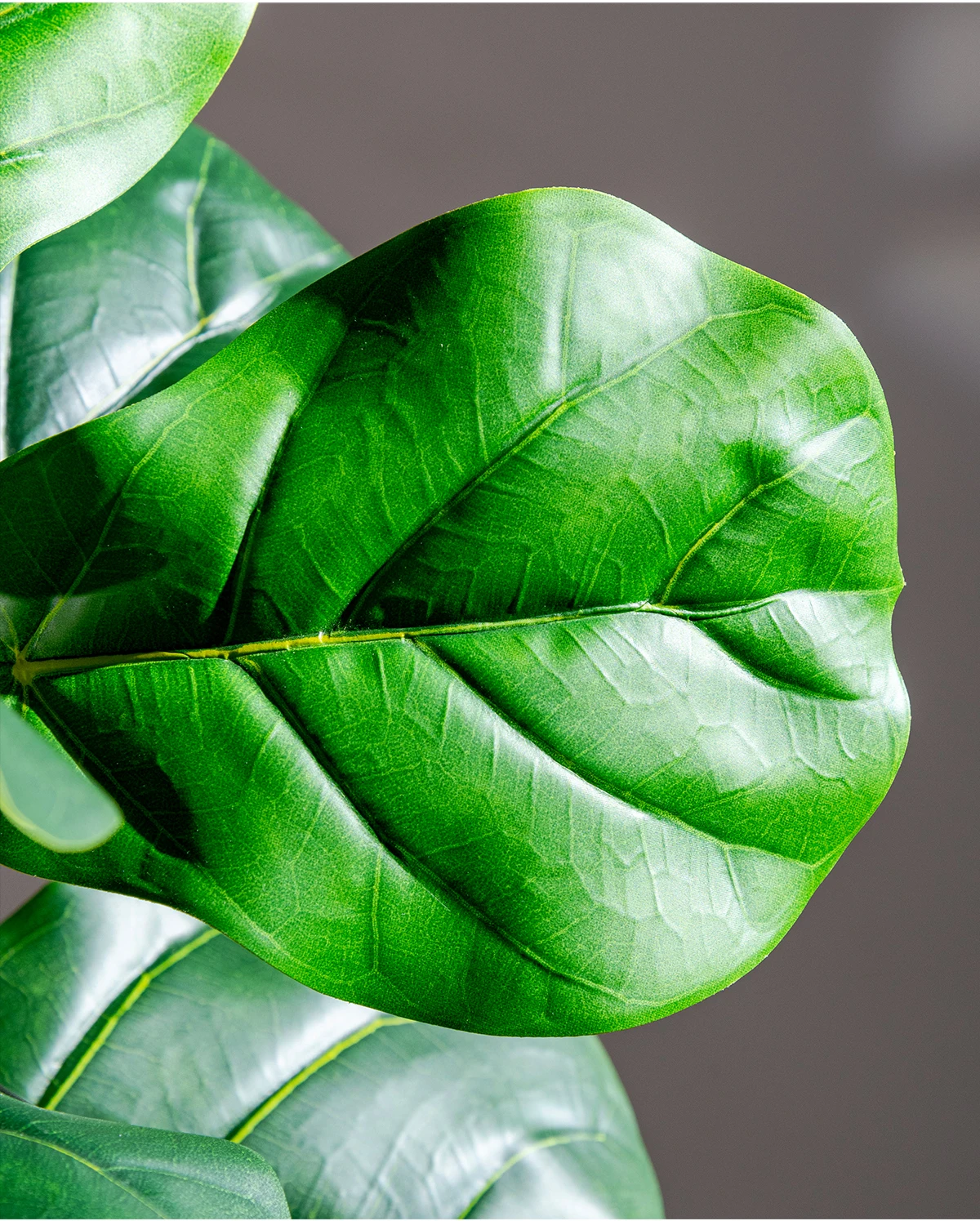 Indoor/Outdoor Decorative Plastic Ficus Pandurata Tree Similar Glass Pine Ficus Religiosa Panel for Landscape Wedding House supplier