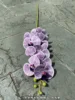 viola 44