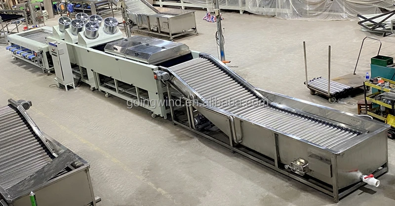 自动水果清洗打蜡干燥分级机自动水果清洗、分类包装包装生产线出售