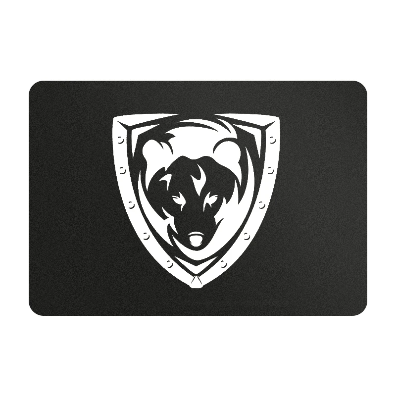 2022 Новый внутренний SSD завод OEM логотип 128gb/256gb/512gb/1