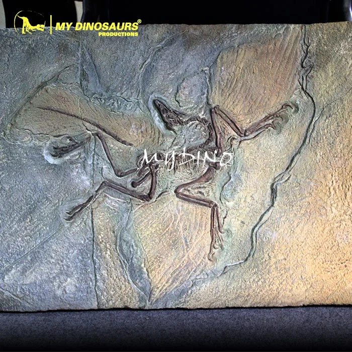 My Dino D09 Fiberglass Dinosaur Skeleton Archaeopteryx Fossil Plate
