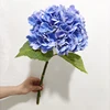 Blu1