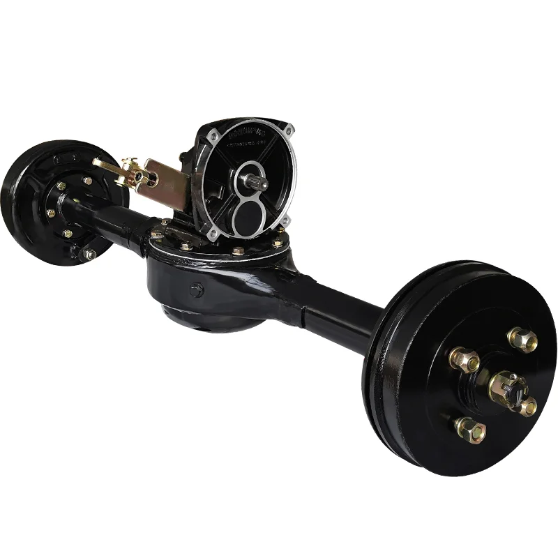 hldra-1-main-4