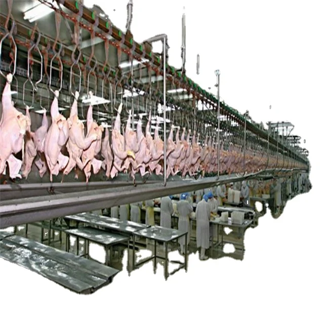 2020 Modern Chicken Slaughterhouse Blucker for Sale