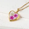 White-Rose Pink