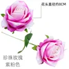 Pearl Rose, Purple-pink