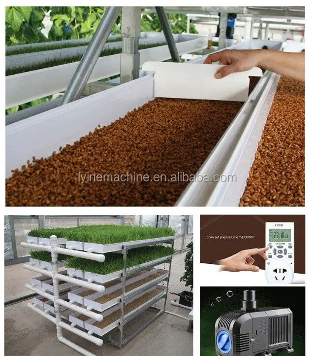Barley Microgreen Growing System Hydroponic PVC Rack Hydroponic Grow Shelves System