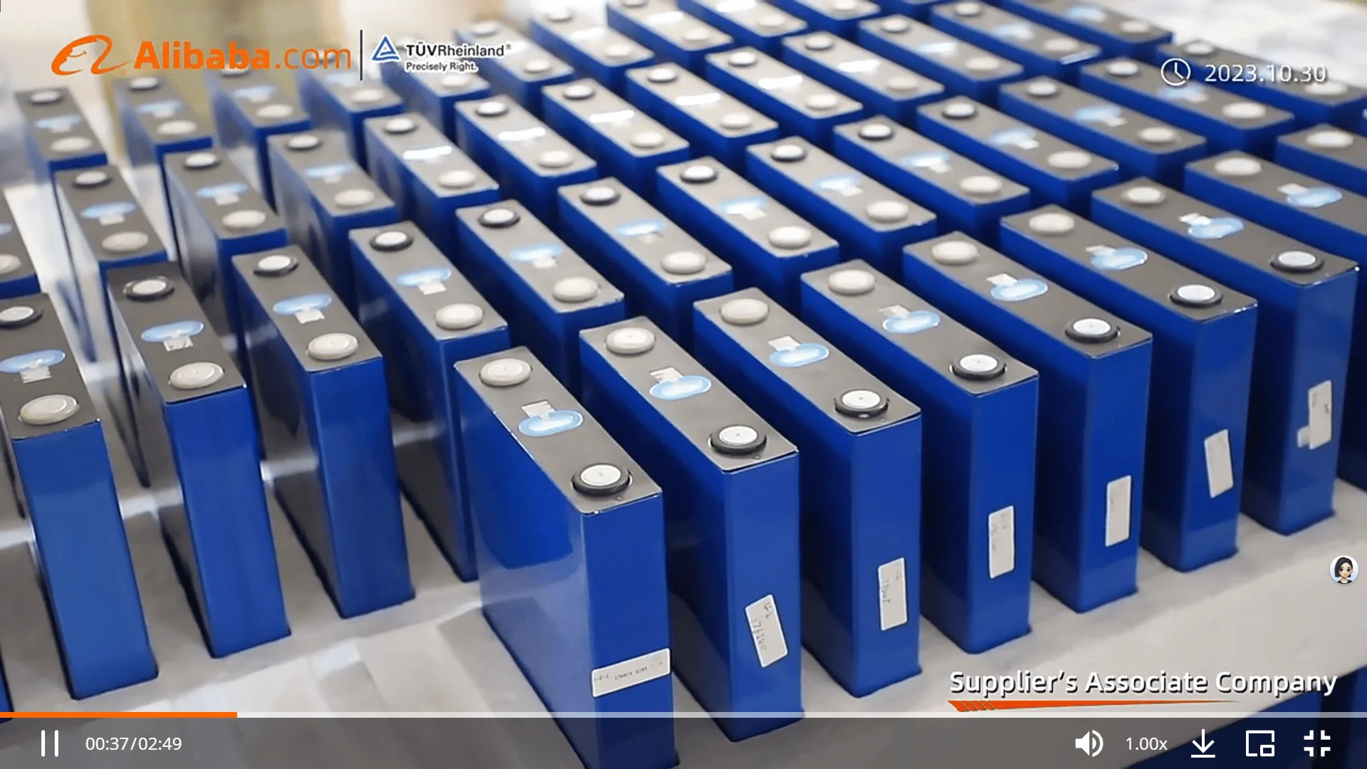 Authorized Testing Reports