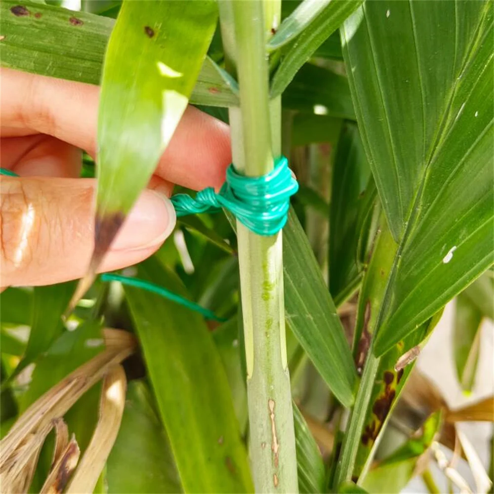 Filo Da Giardino Green Blade 50m Con Taglierina - Supporto Piante Flessibile E Riutilizzabile