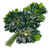 Ejército Green02
