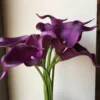 4 purple