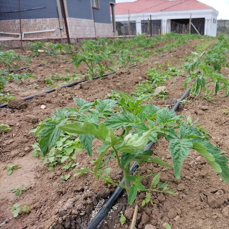 Agricultural Profesional 16mm Manguera Cinta Sistema De Riego Por Goteo 20cm Drip Tape