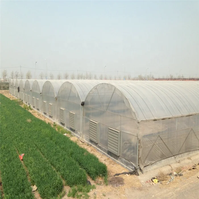 Plastic Shed