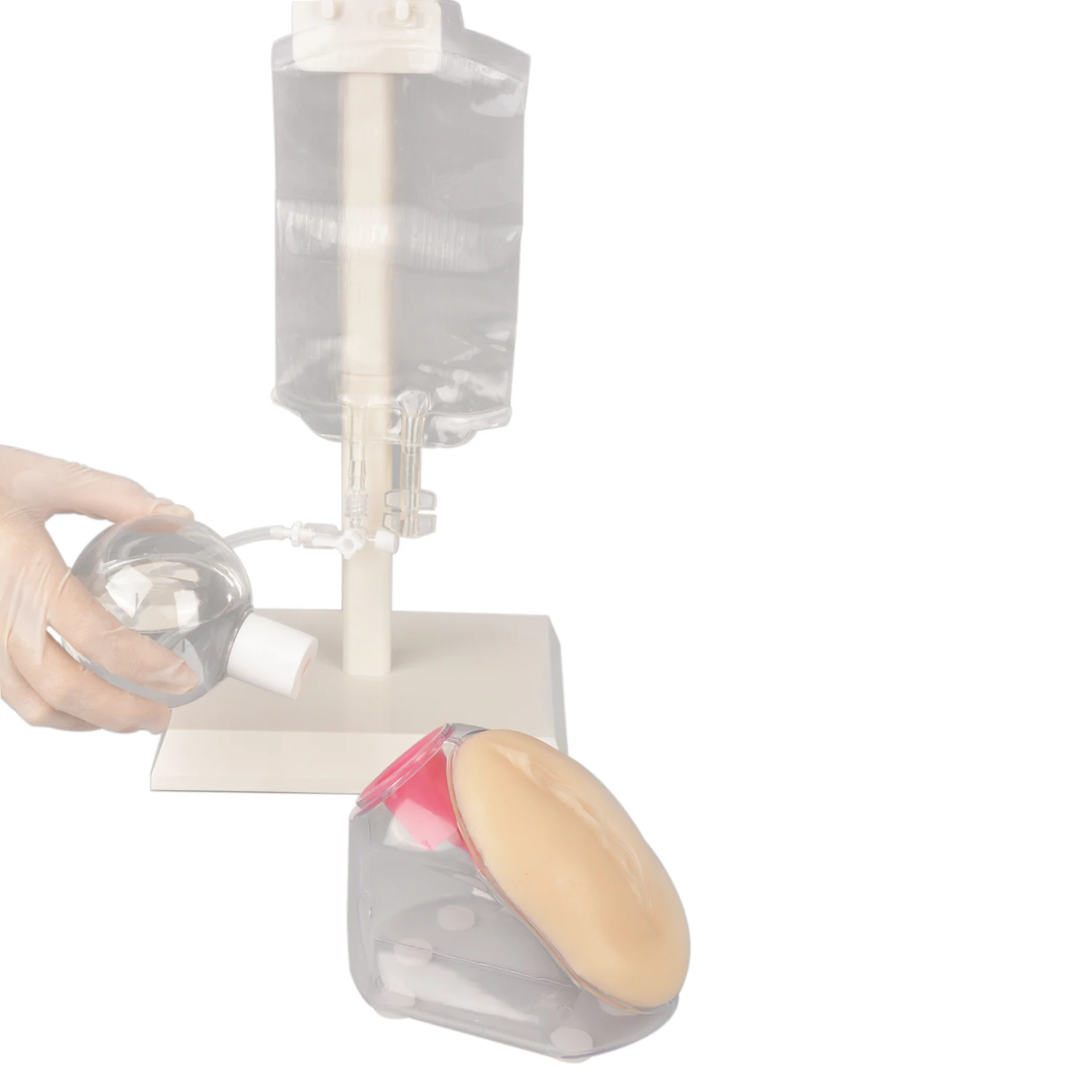 Female Urinary Catheterization Model Urethral Catheter Insertion Practice Training Tools Medical Simulator