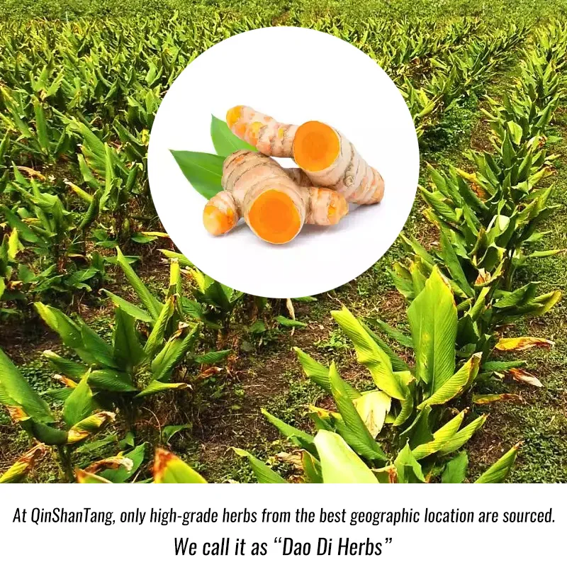 Organic Turmeric Extract Powder 95 Curcumin Powder For Women And Men