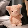 Maialino dai capelli ricci-20 cm