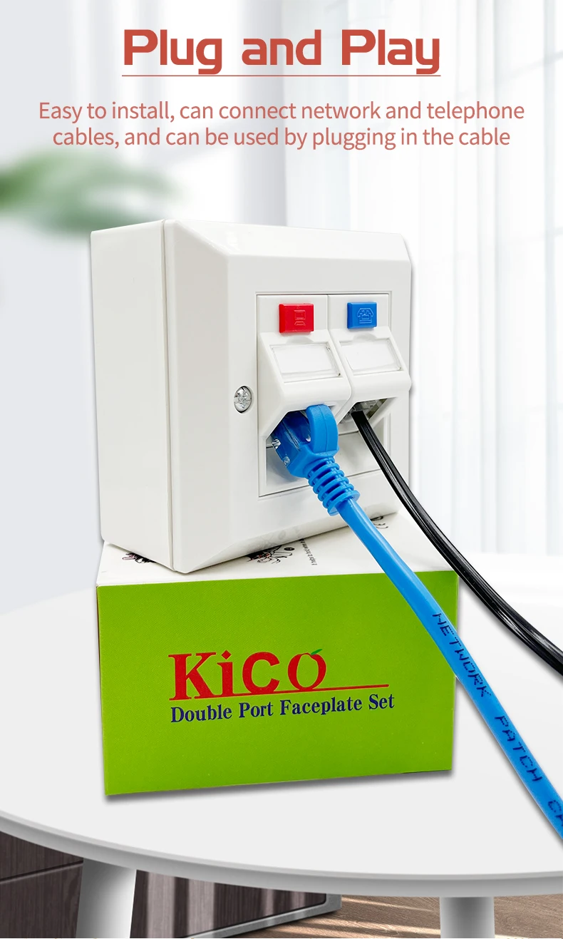 Kico Cat6 RJ45 2 Port Network Faceplate - Reliable & Versatile