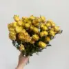 Amarillo