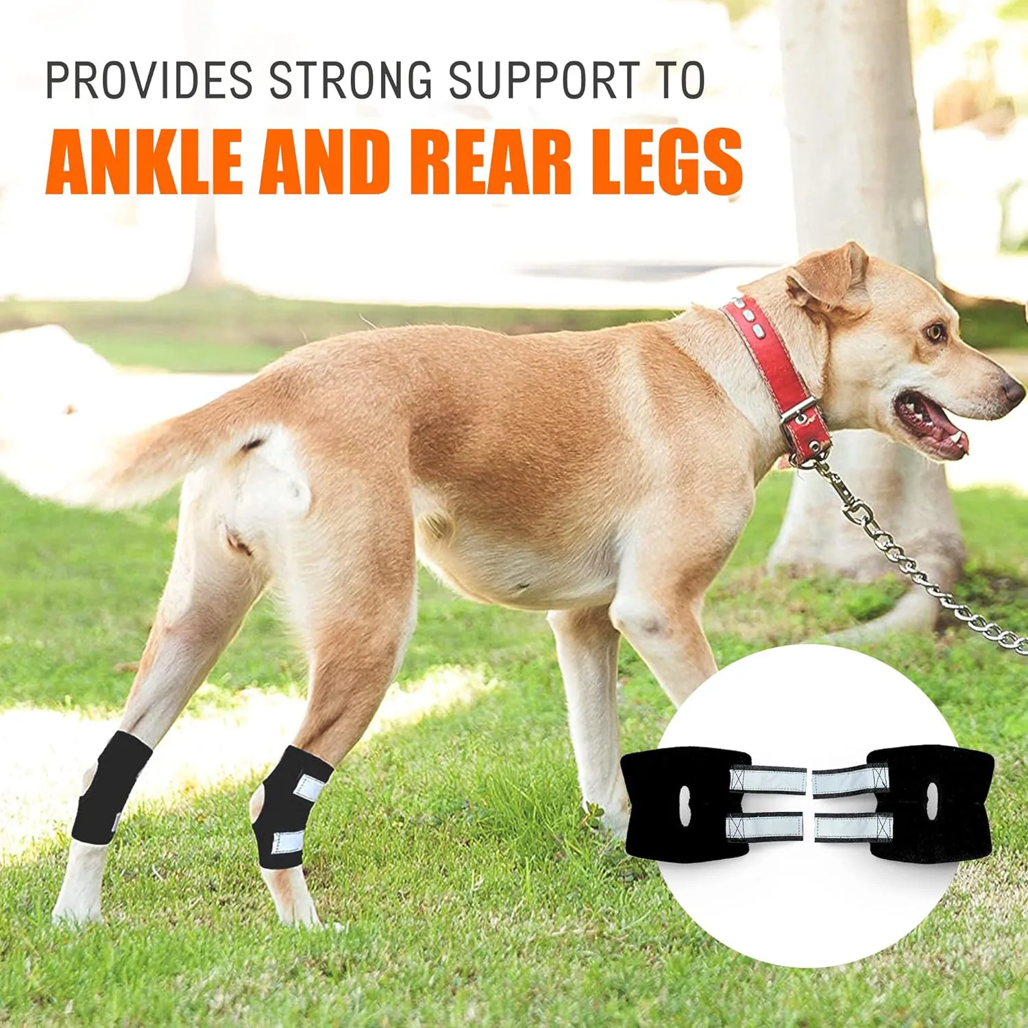 Leg Brace for Dogs With Metal Spring Inserts And Reflective Straps Joint Protection Various Sizes