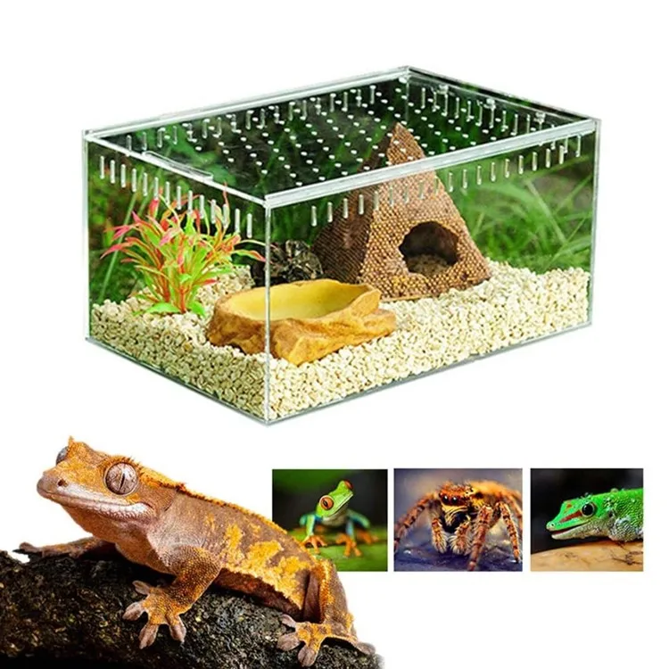 Clear Acrylic Climbing Pet Plexiglass Feeding Box Rectangle House ...