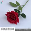 Single Manta Rose WY, Red