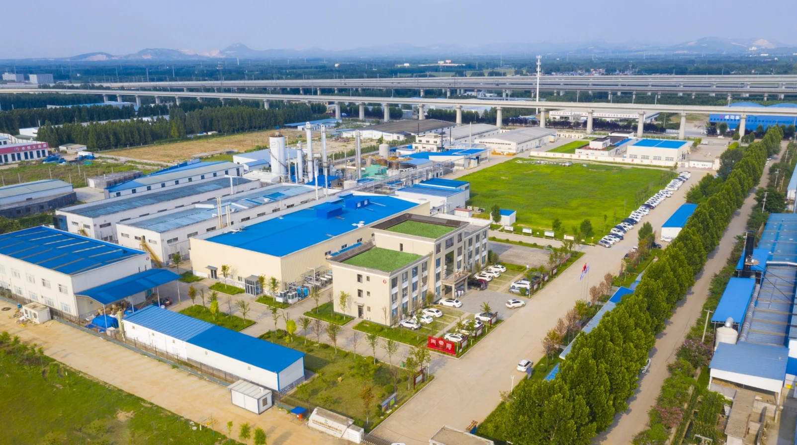 Shandong Focusfreda Biotech Co., Ltd. 2