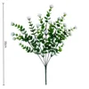 Camellia and water plants bundle 016