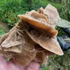 หินเดสเซิร์ตโรสสีเทา
