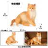 colorato PL127-3364 Il gatto nel palazzo