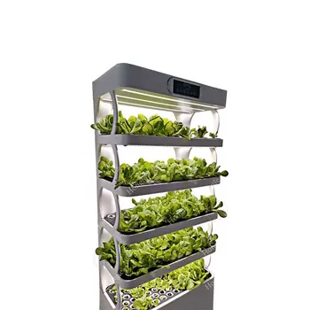 Professional Indoor Greenhouse Microgreen System Growing Food With Great Price