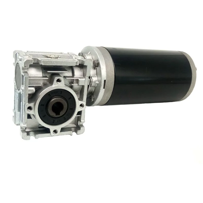 600W Permanent Magnet Electric DC Worm Motor 500Kg Capacity 400W-500W for Home Appliance Electric Bicycle & Fan
