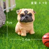 Color del Pug