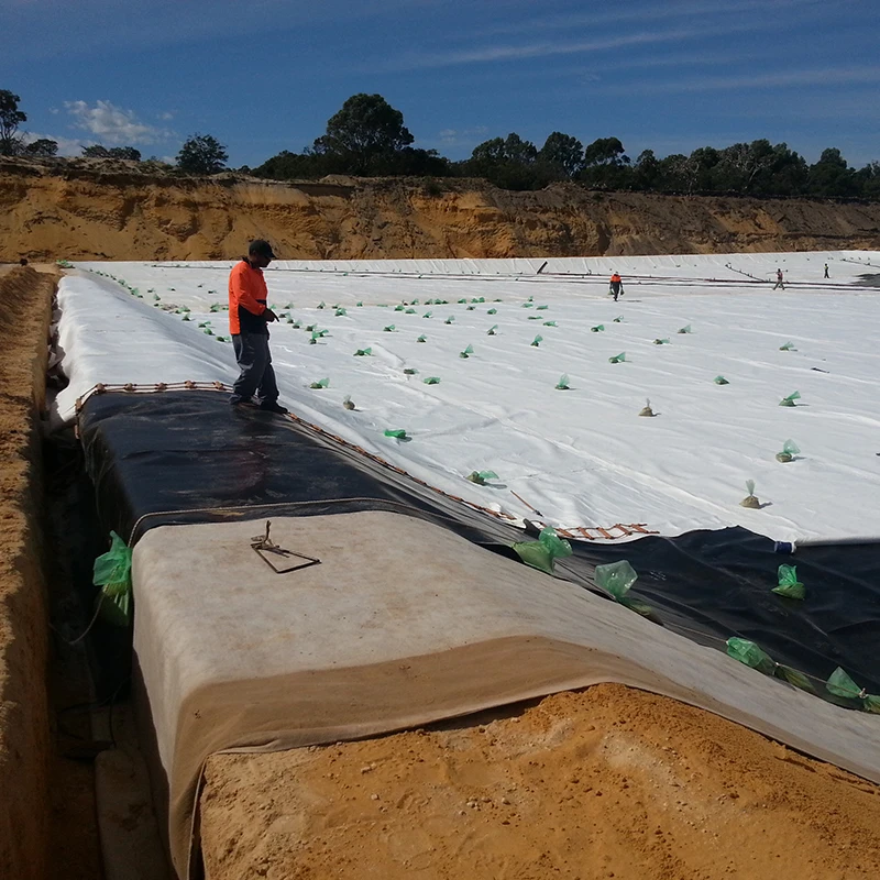 NonWoven Geotextile Land Fill Project Geo Fabric Needle Punched PP Long Fiber Geotextile