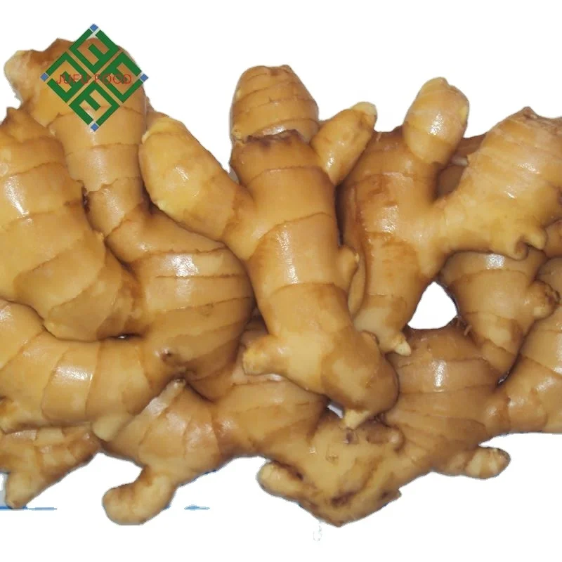 Carton Package Ginger Varieties of Fresh Ginger
