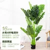 Grande feuille de monstera