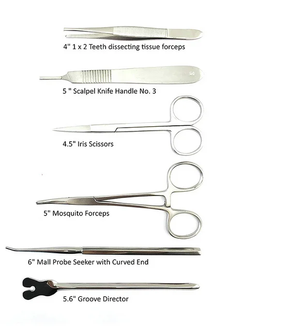 Scalpel Handles Surgical Scalpel Sterilized Blades Wholesale Stainless
