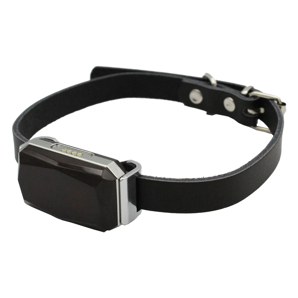 Collier GPS Avec Suivi En Temps Réel Pour Chat