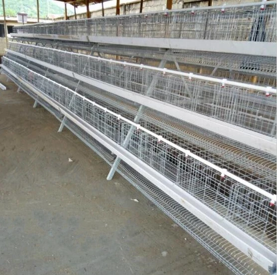 3-5 ярусов типа А куриные клетки оборудование для яиц мозамбикской фермы