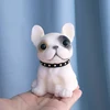 French Bulldog white